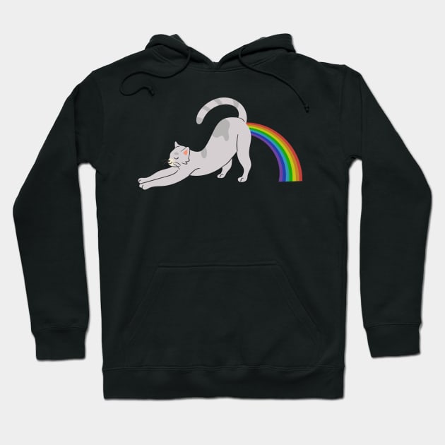 Cat Pooing Rainbow 01 Hoodie by RakentStudios